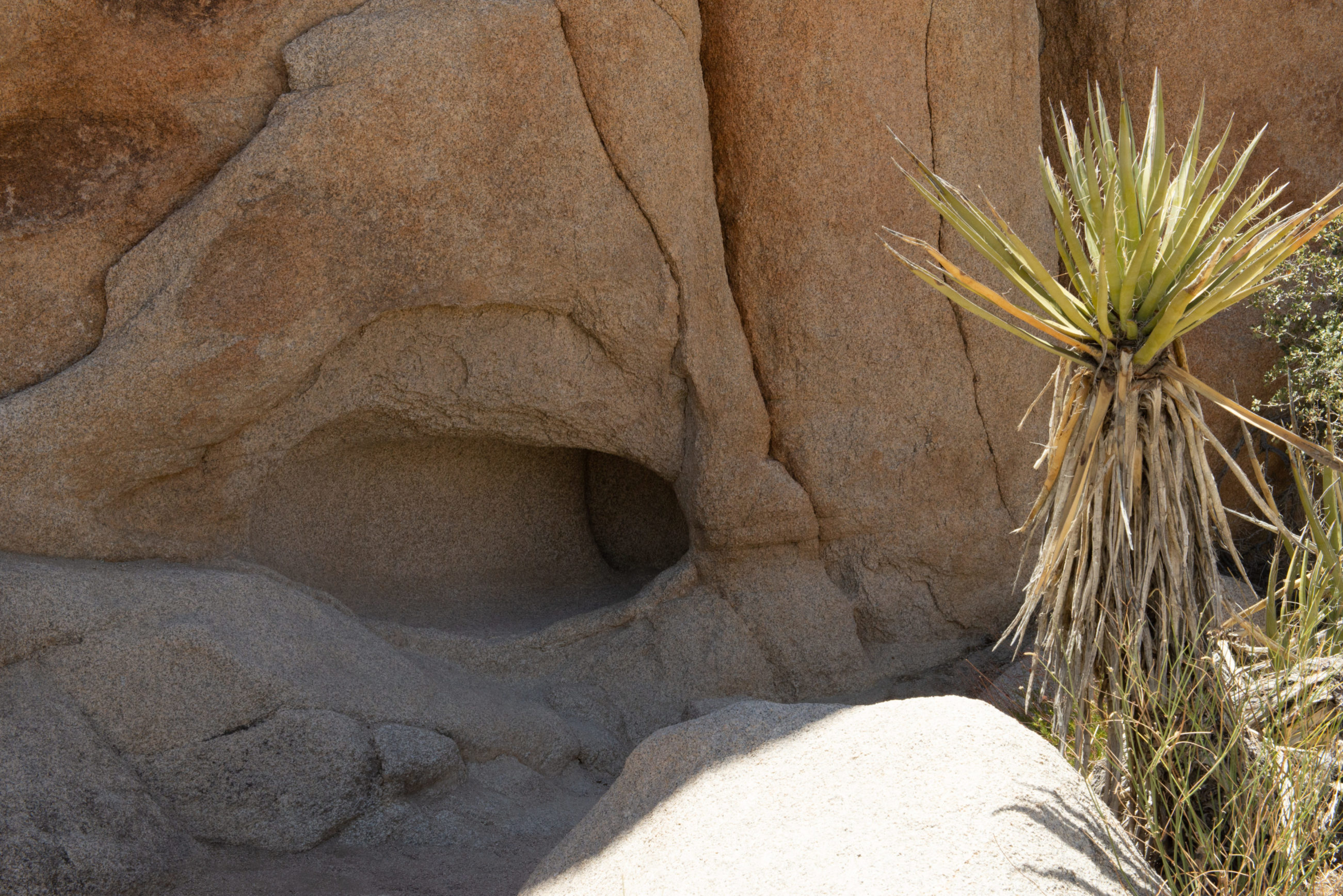 LET THE ROCKS CRY OUT